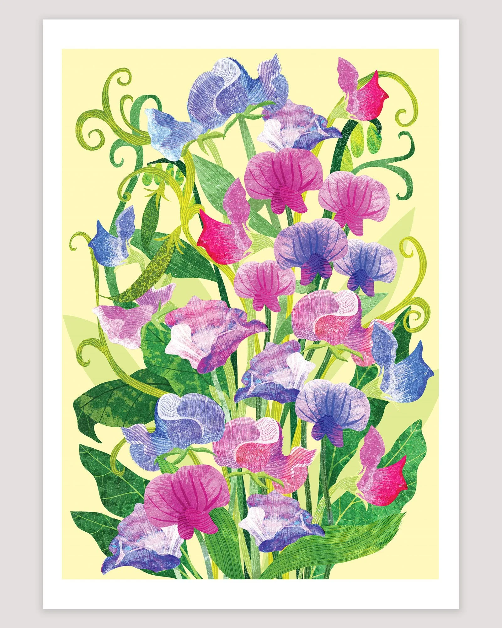 Art-Print-Flowers-SweetPea-Astrid-Weguelin.jpg