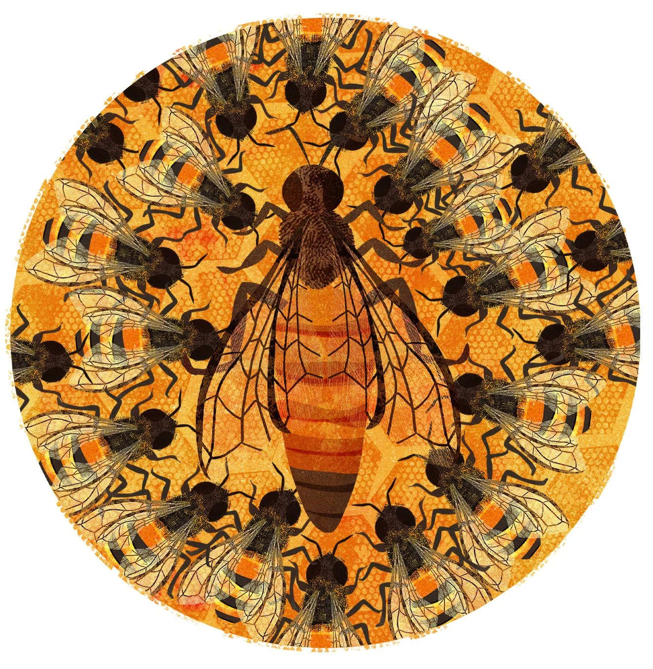 Honeybee-Book-Illustration-10-Astrid-Weguelin.jpg