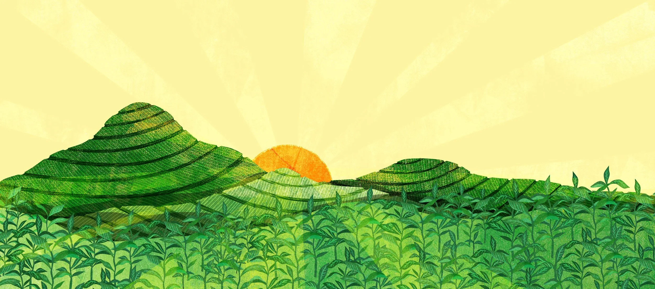 Eighty Degrees Magazine