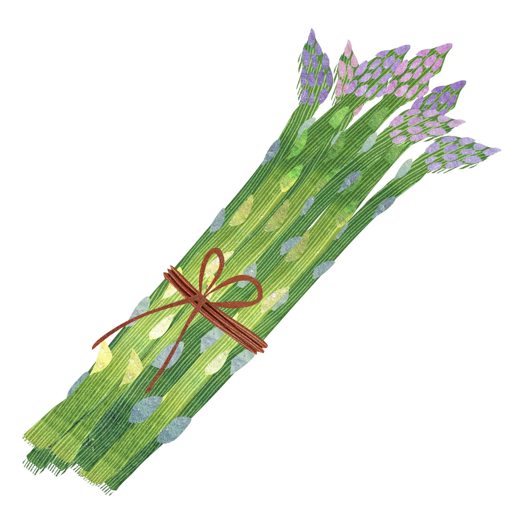 Soups-Cookbook-Ingredients-Asparagus-Illustration-Astrid-Weguelin.jpg