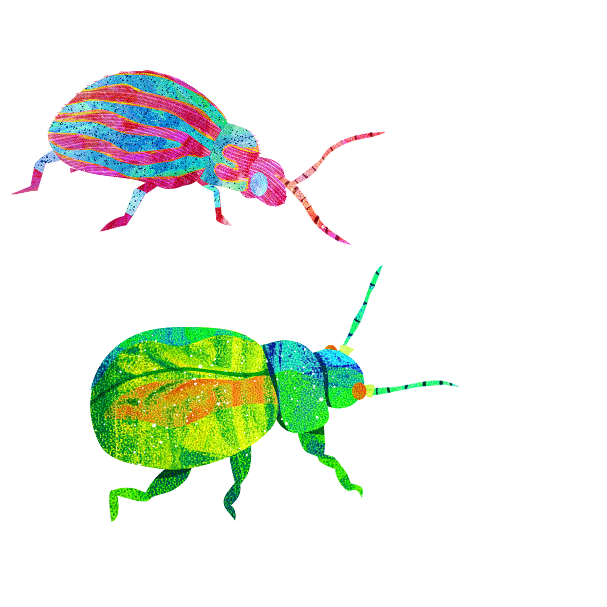 Insects