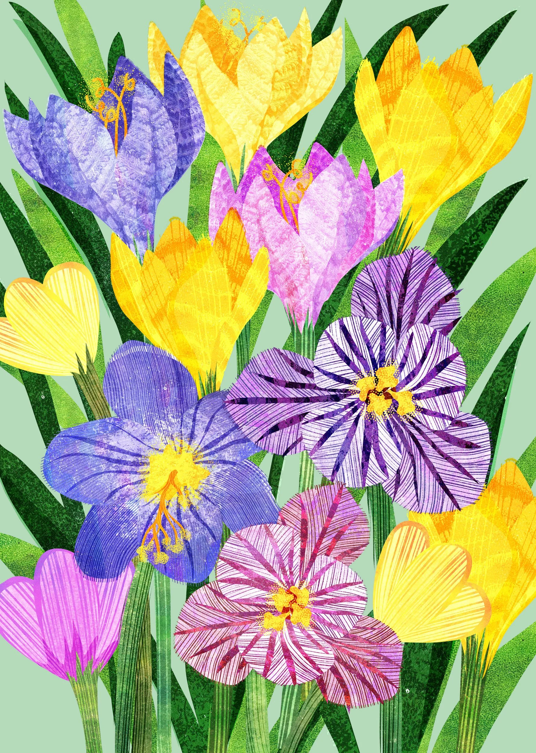 Flower-Illustration-Crocus-Astrid-Weguelin.jpg