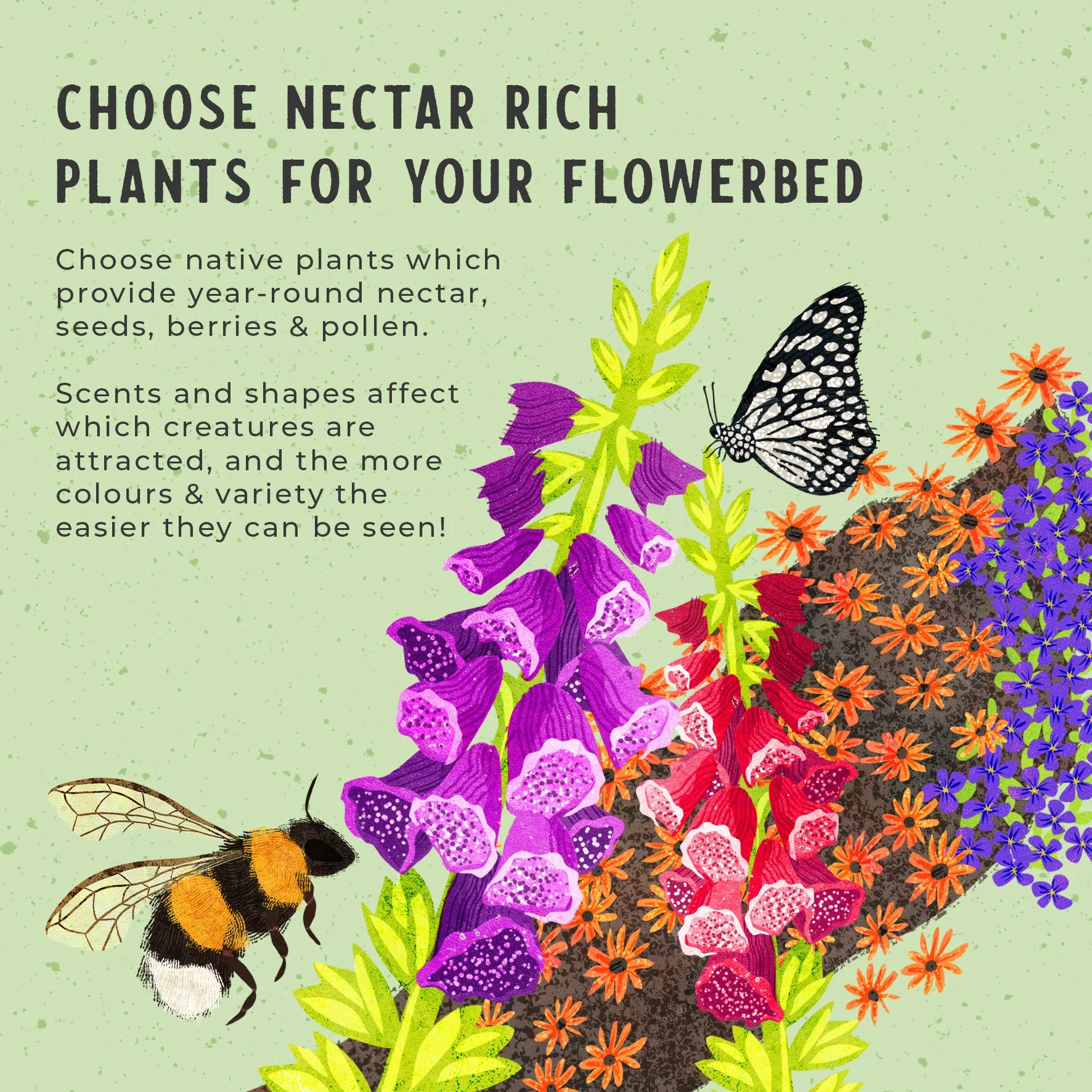 Rewilding-Nectar.jpg