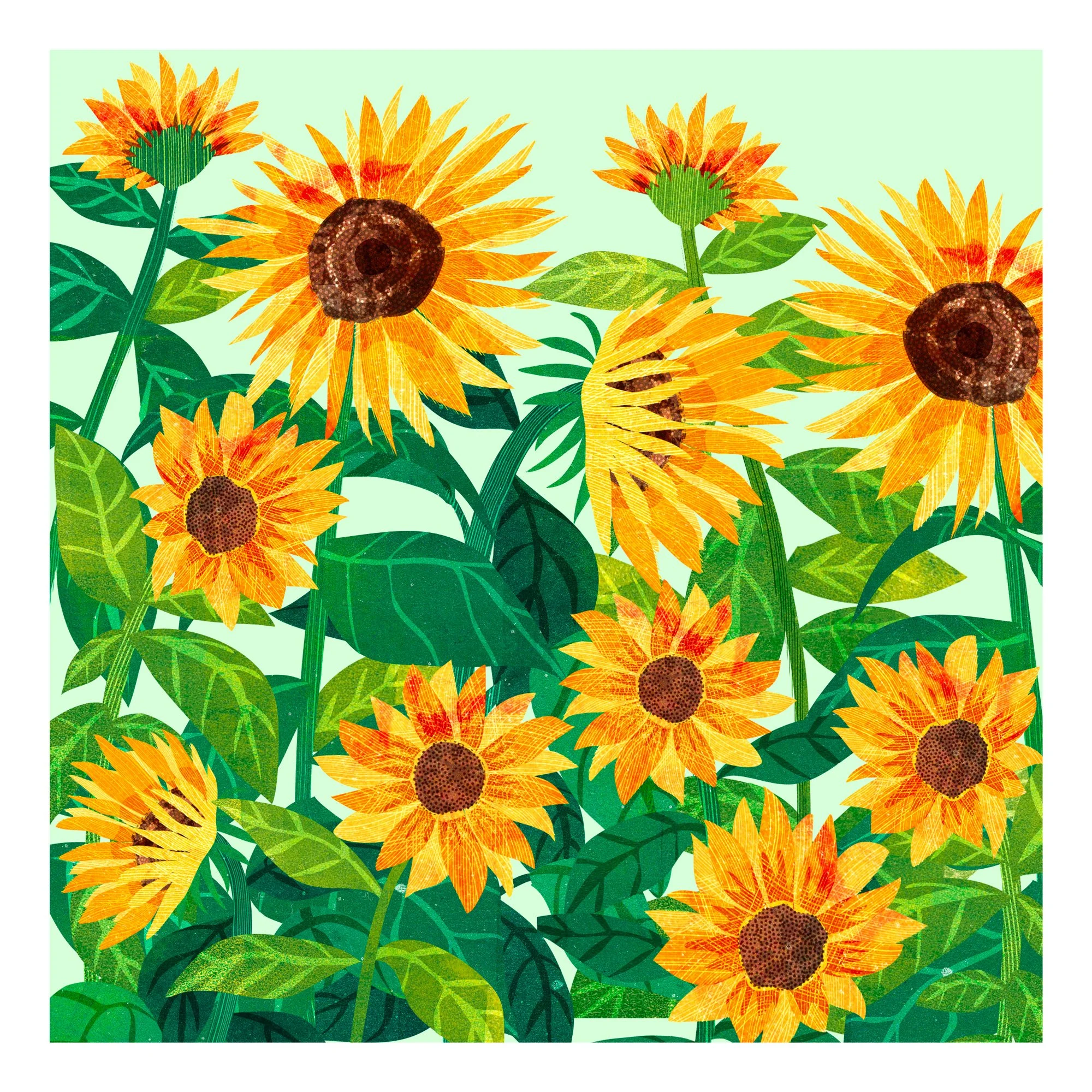 Flower-Illustration-Sunflowers-Astrid-Weguelin.jpg