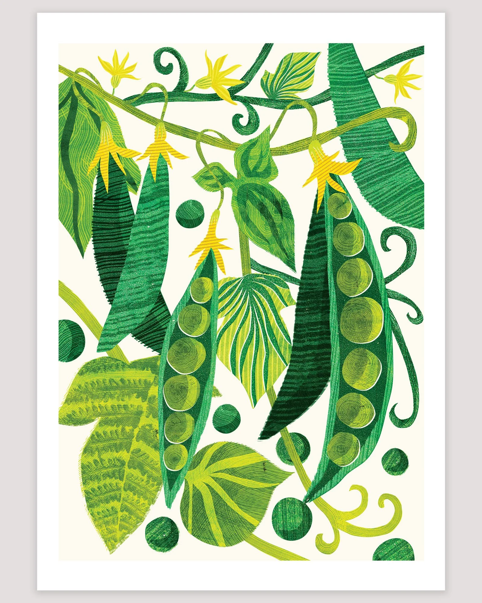 Art-Print-Peas-Astrid-Weguelin.jpg