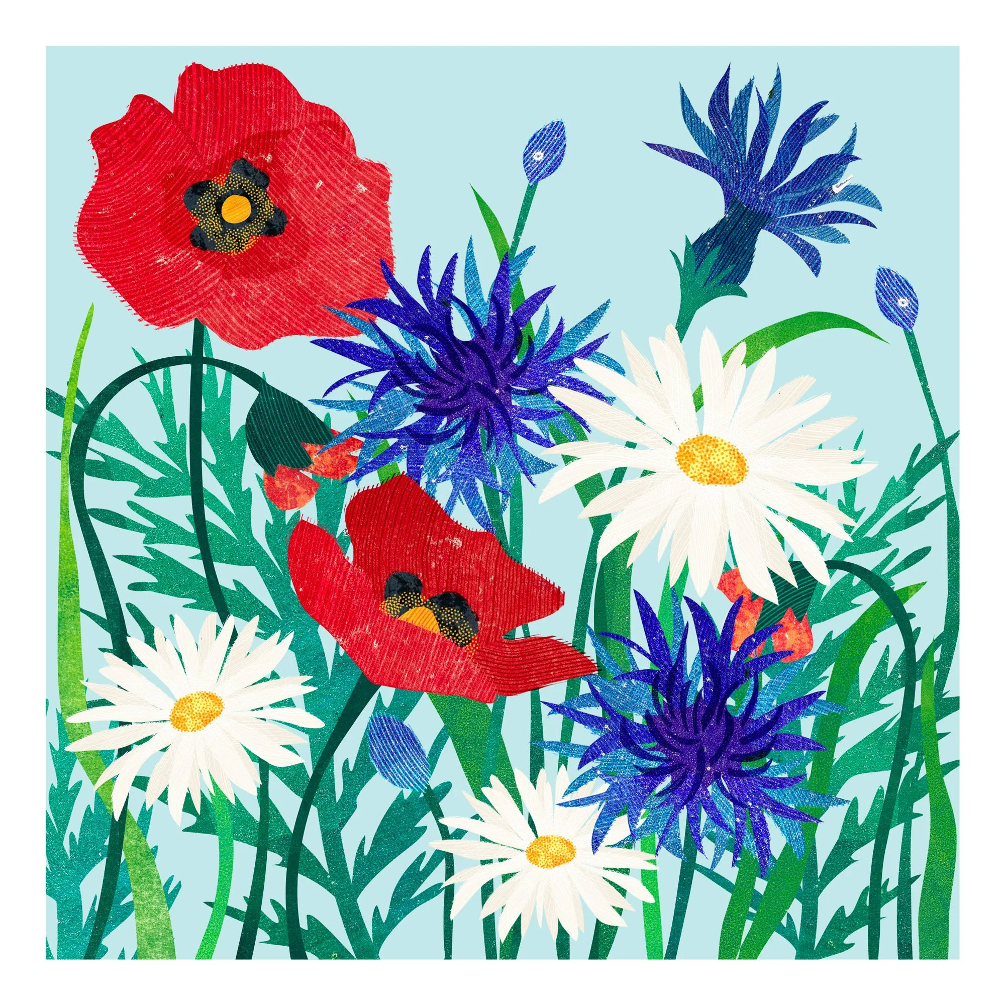 Flower-Illustration-Meadow-Flowers-Astrid-Weguelin.jpg