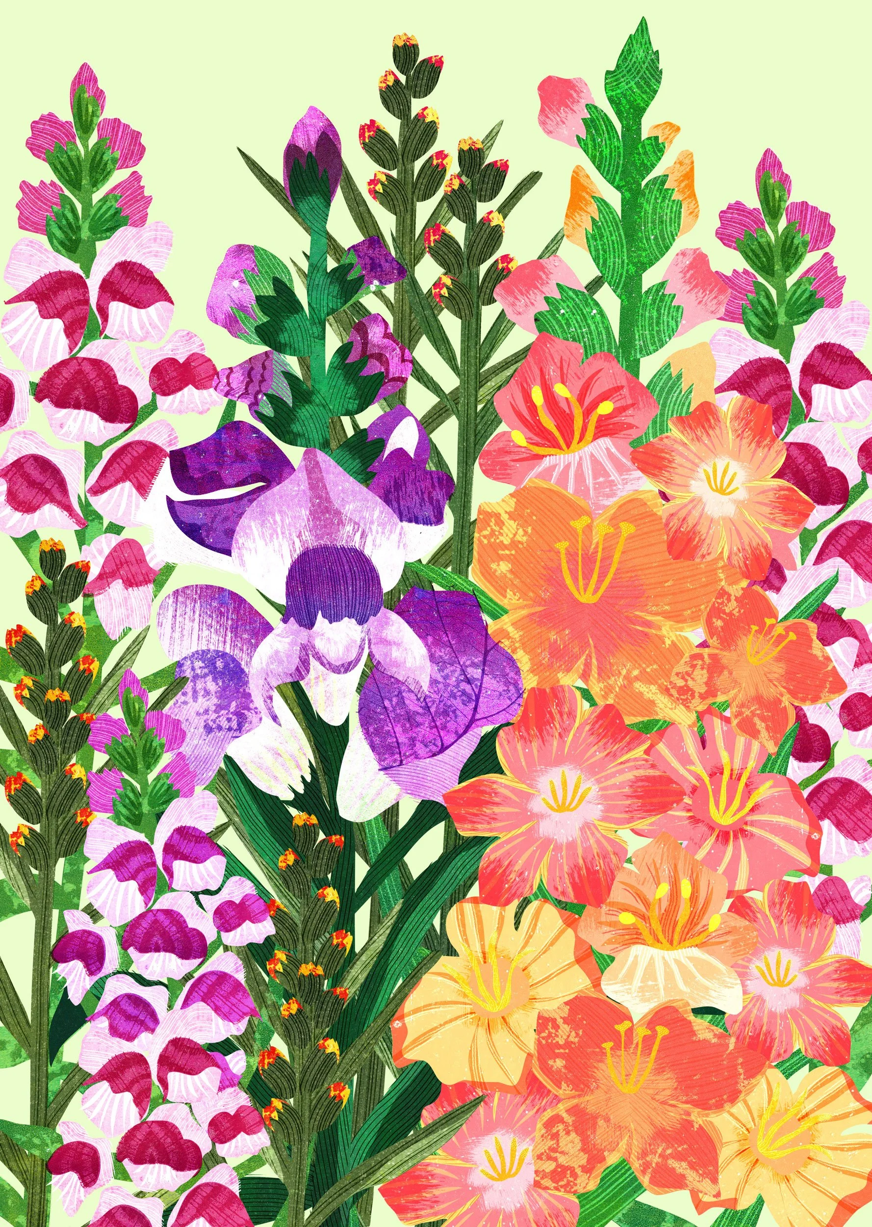 Flower-Illustration-Snapdragon-Astrid-Weguelin.jpg