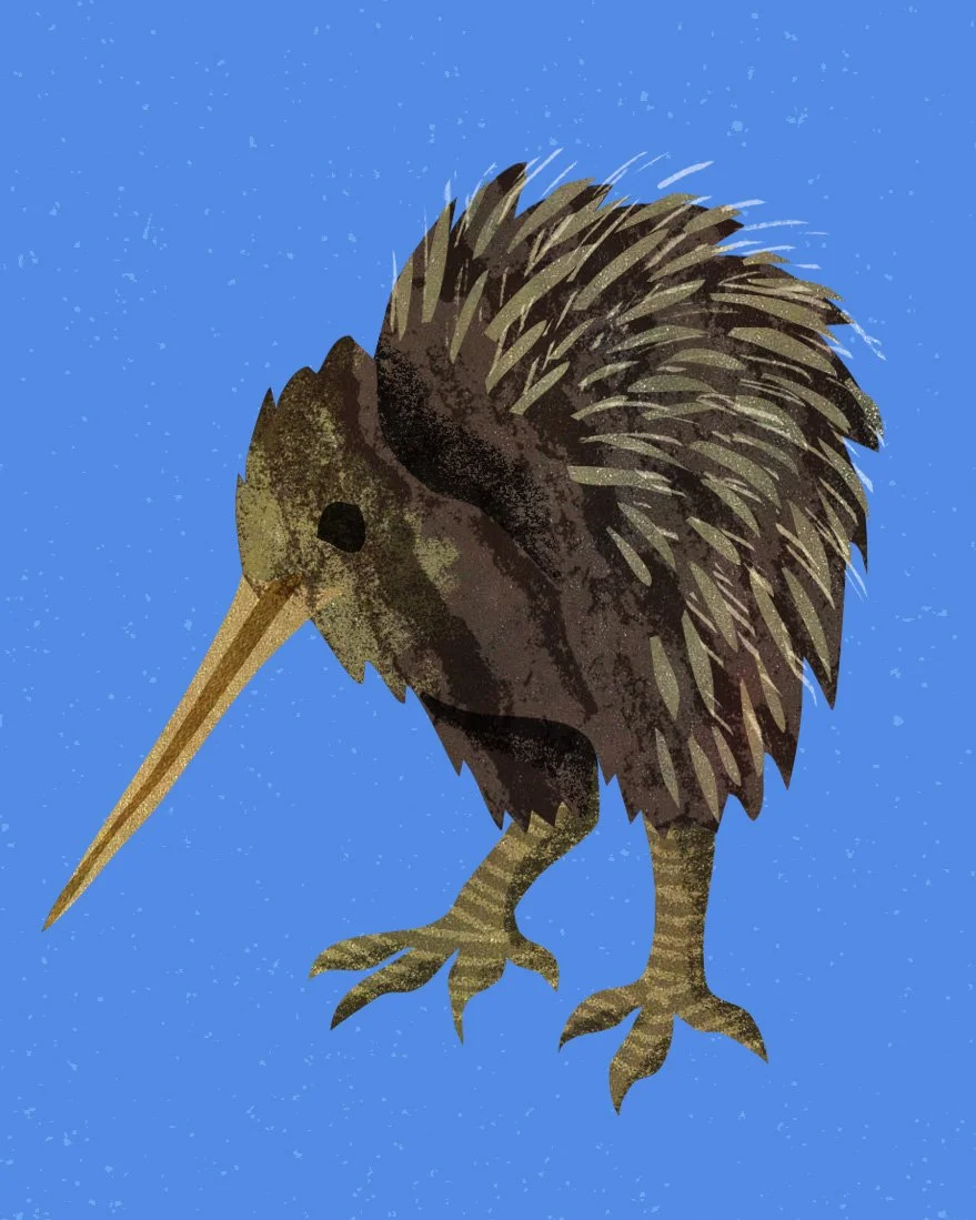 NewZeland-Crops-Kiwi.jpg