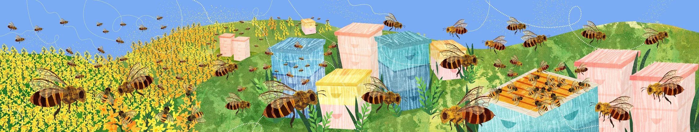 Honeybee-Book-Illustration-1-Astrid-Weguelin.jpg