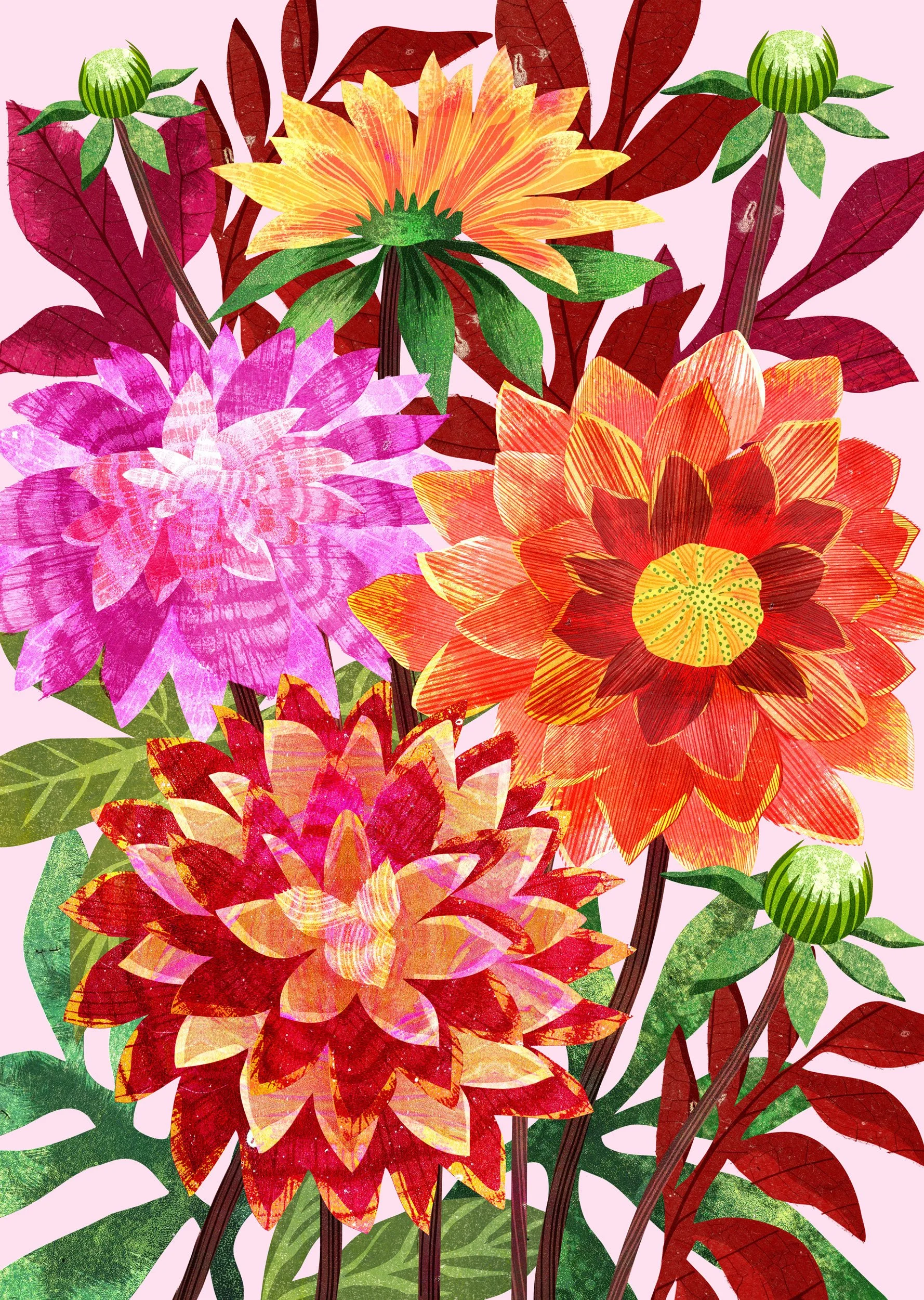 Flower-Illustration-Dahlia-Astrid-Weguelin.jpg