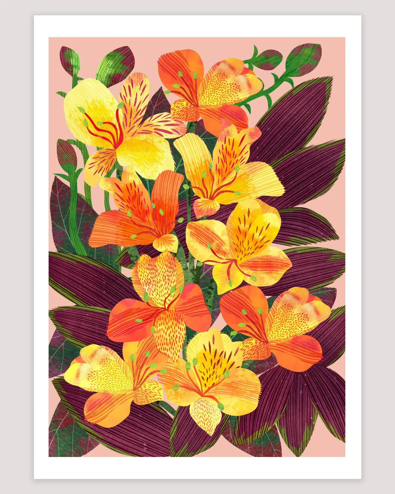 Art-Print-Flowers-Alstroemeria-Astrid-Weguelin.jpg
