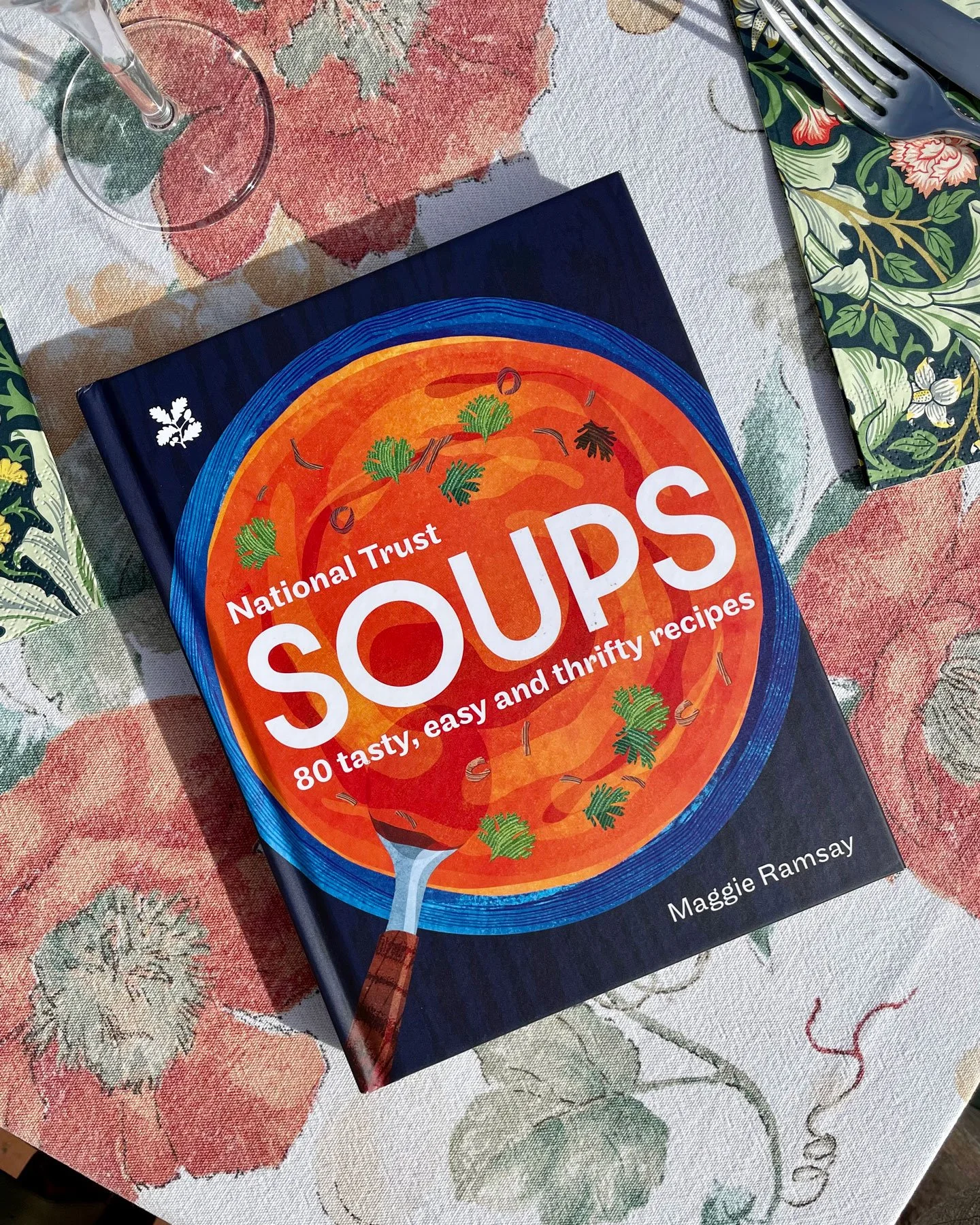 Soups-Cookbook-Cover-Illustration-Astrid-Weguelin.jpg