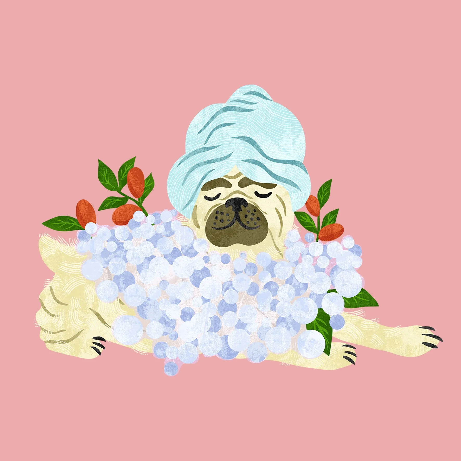Pack-Pet-Dog-Illustration-Shampoo-Astrid-Weguelin-1.jpg