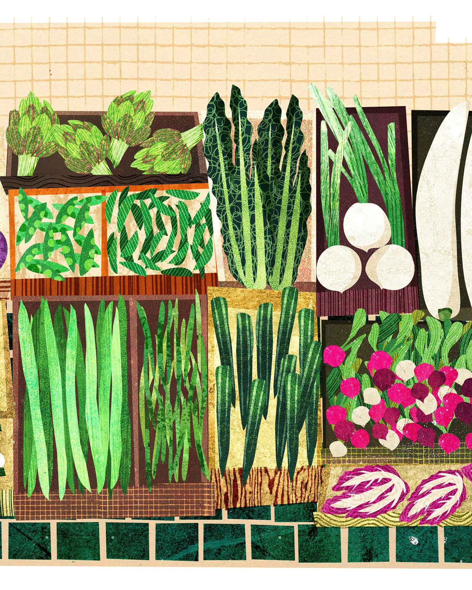 Vegetable-Market-Illustration-Crop-2-Astrid-Weguelin.jpg