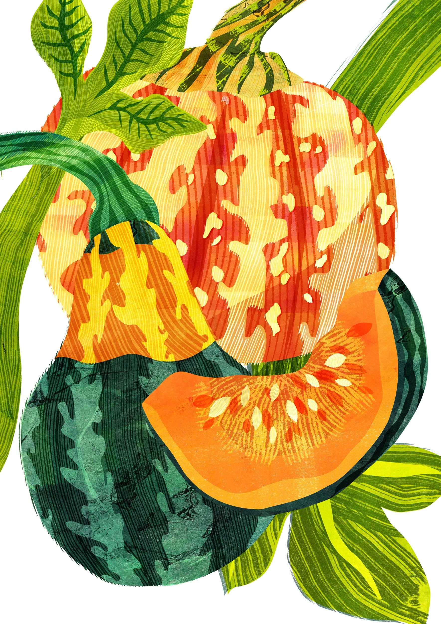 Vegetable-Illustration-Pumpkin-Astrid-Weguelin.jpg