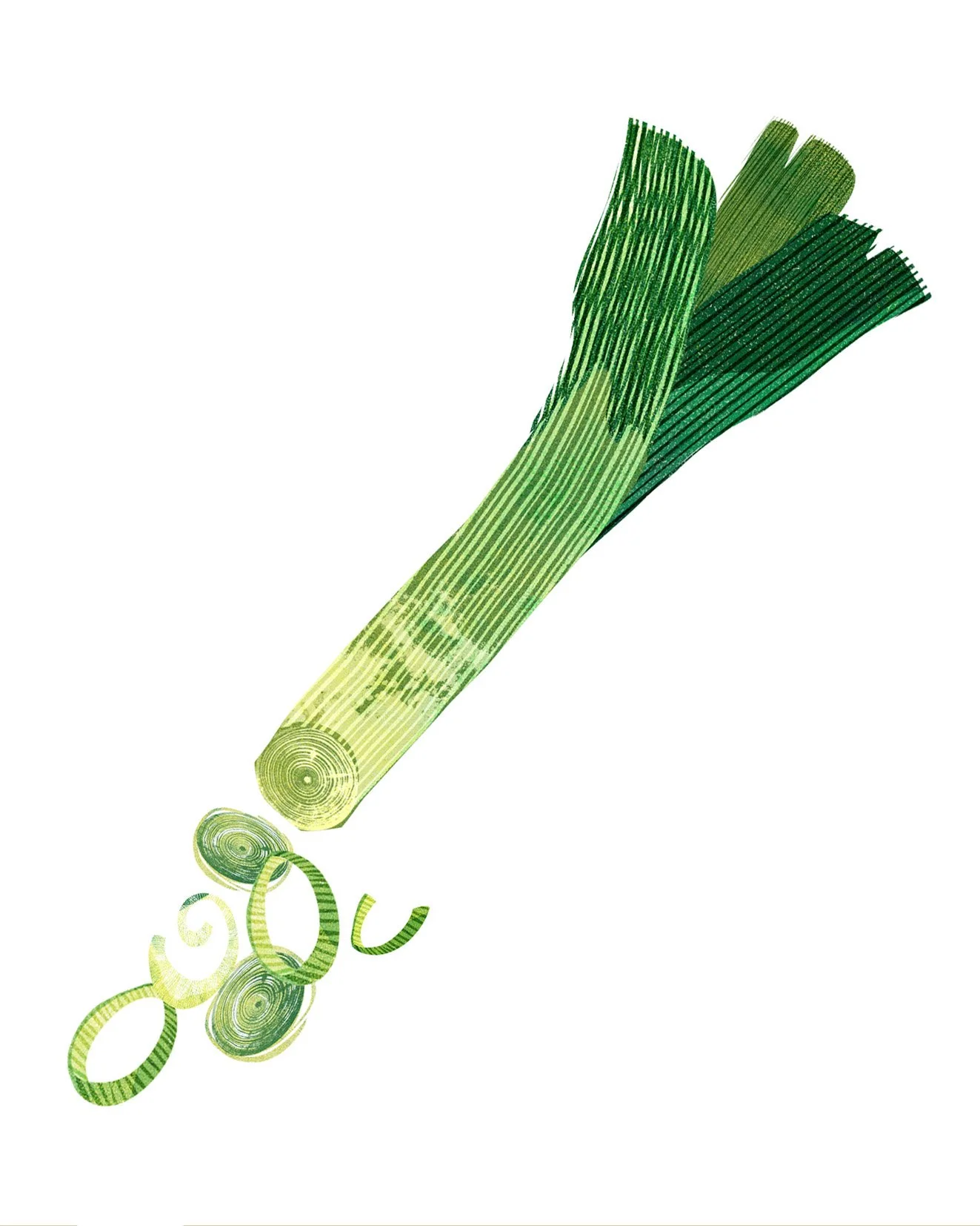 Soups-Cookbook-Ingredients-Leek-Illustration-Astrid-Weguelin.jpg