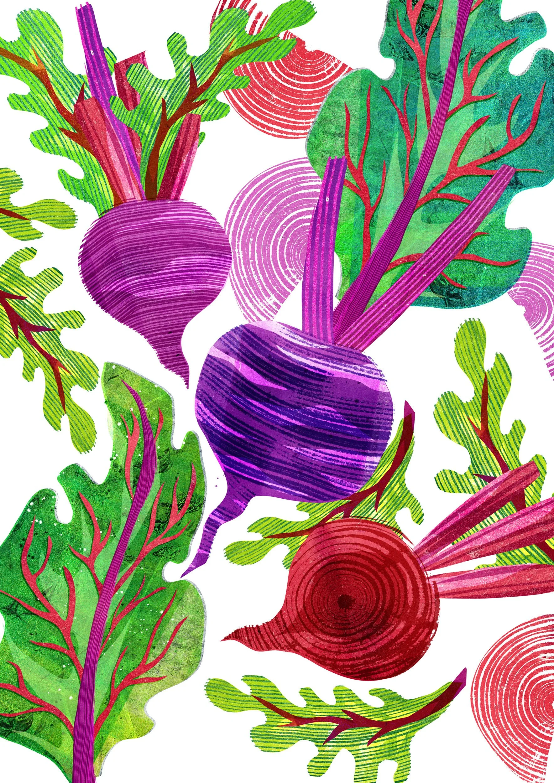 Vegetable-Illustration-Beetroot-Astrid-Weguelin.jpg