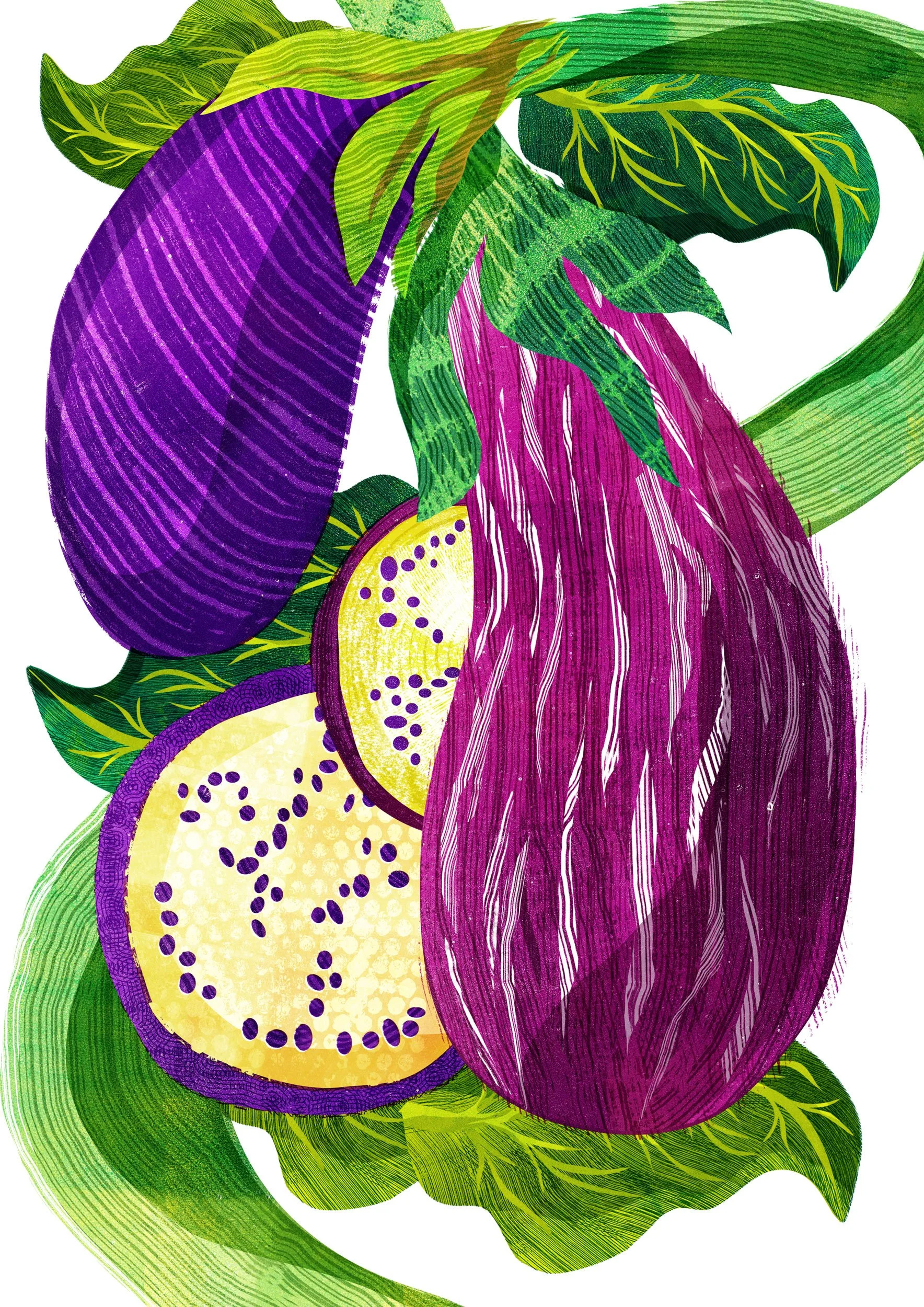 Vegetable-Illustration-Aubergine-Astrid-Weguelin.jpg