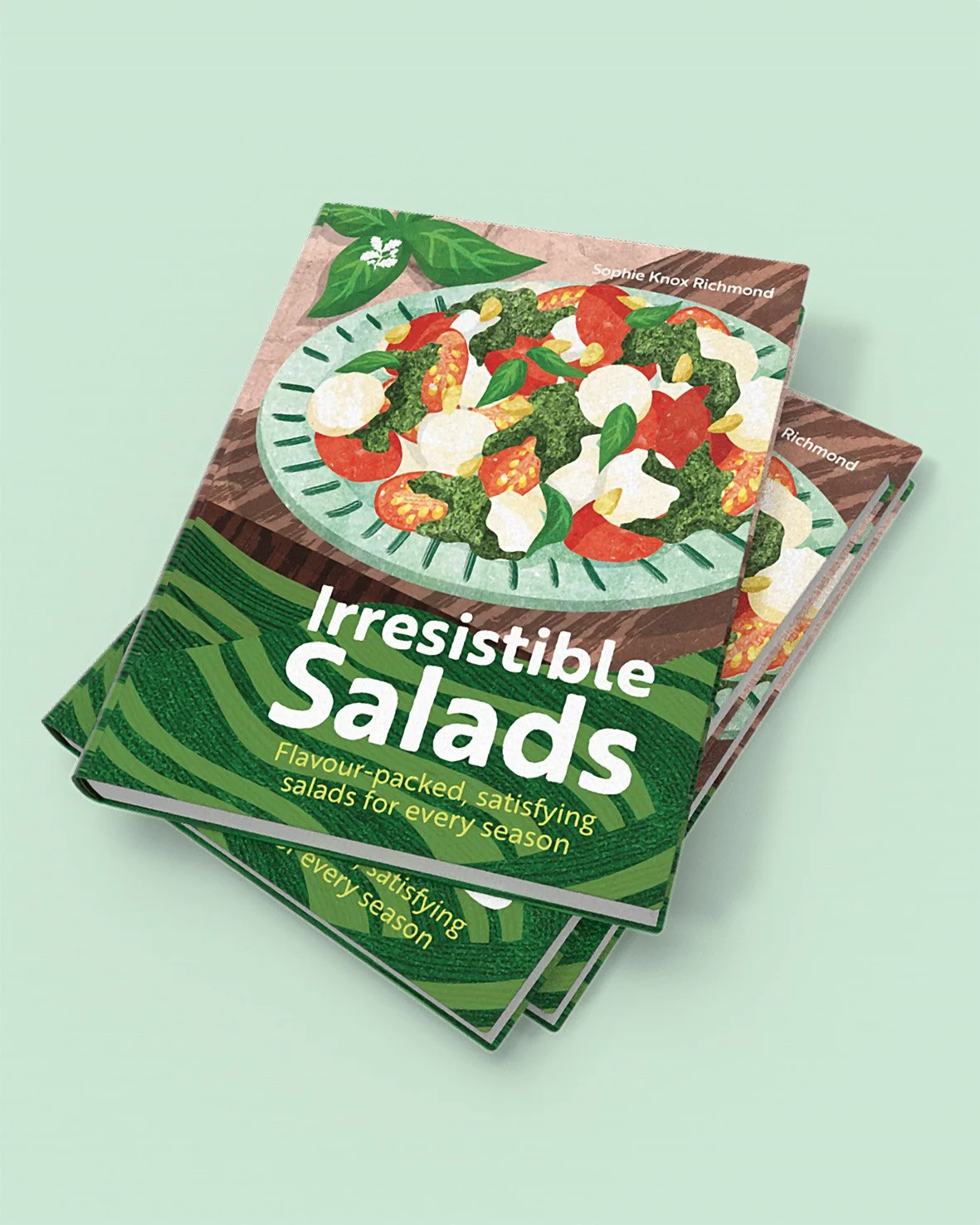 Salads-Cookbook-Cover-Illustration-Astrid-Weguelin-2.jpg
