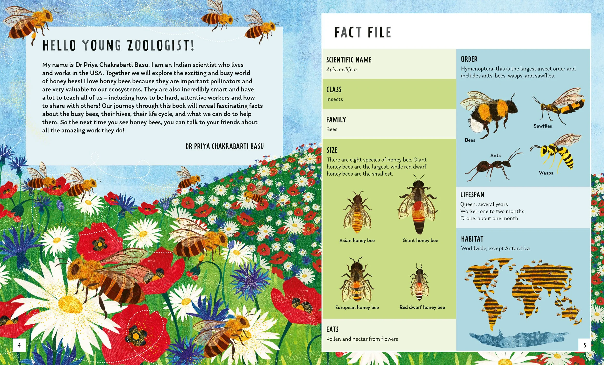 Honeybee-Book-Spread-1-Illustration-Astrid-Weguelin.jpg