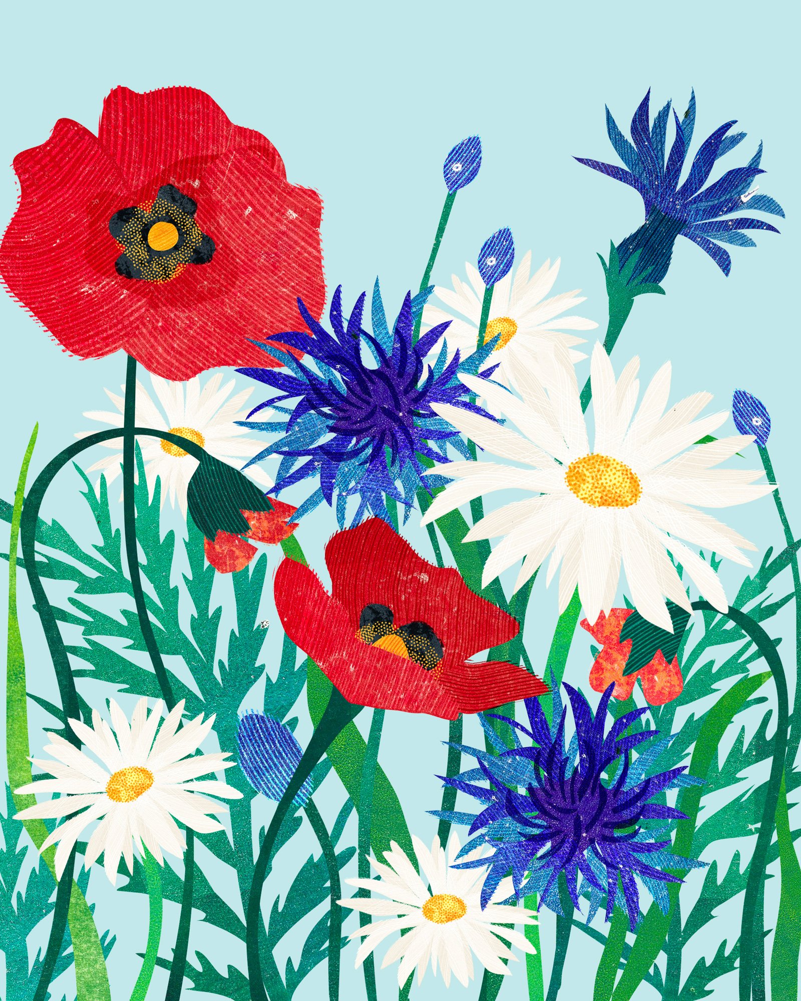 Flower-Illustration-Meadow-Flowers-2-Astrid-Weguelin.jpg