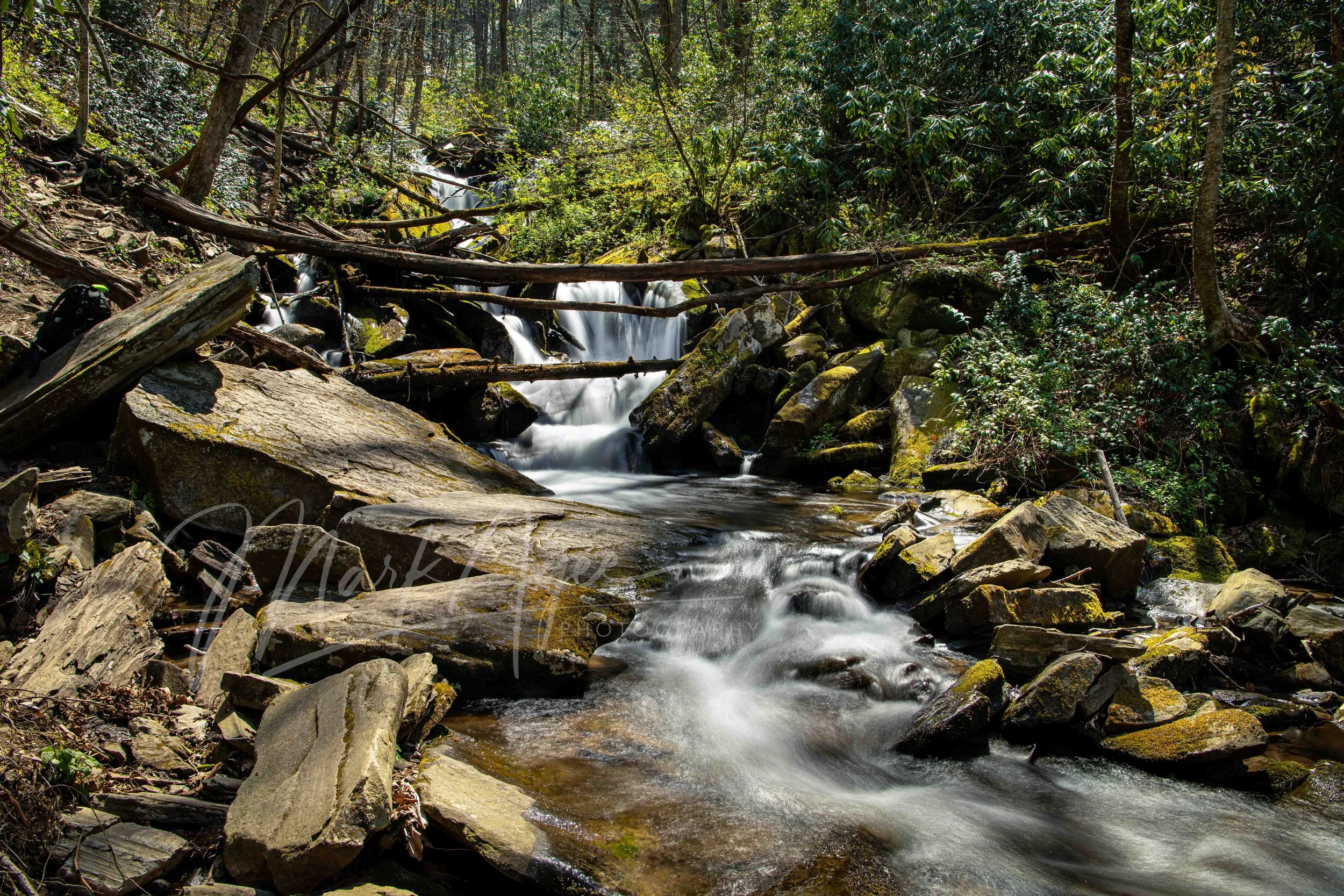 Alarka Creek #1.jpg