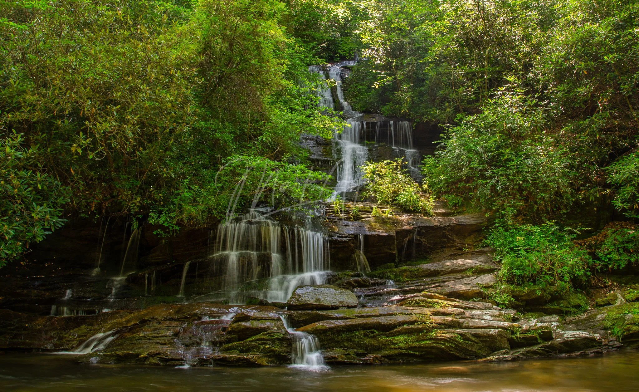 Tom Branch Falls