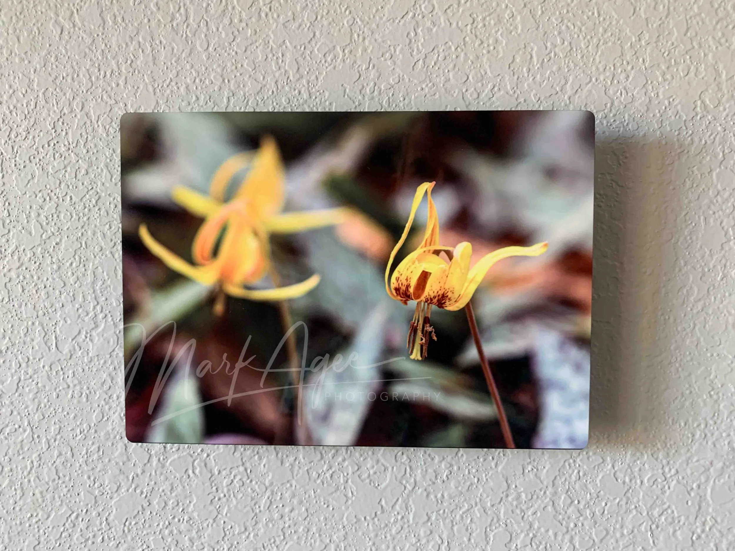Mockup Blooms Metal Float.jpg