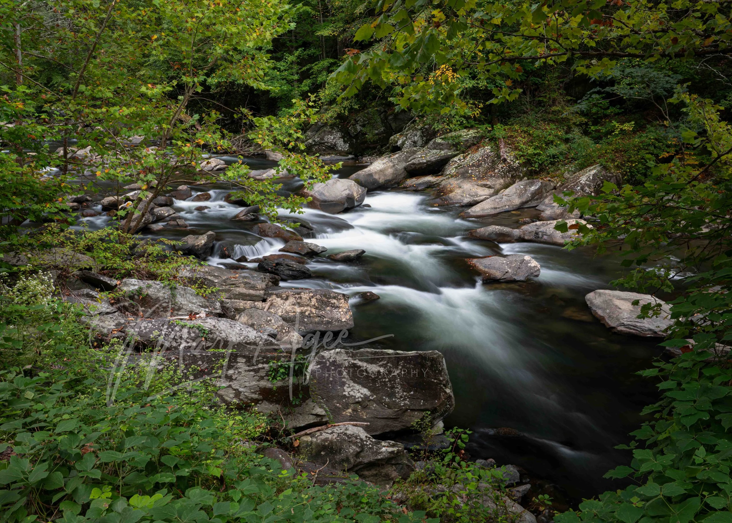 Cheoah River #3.jpg