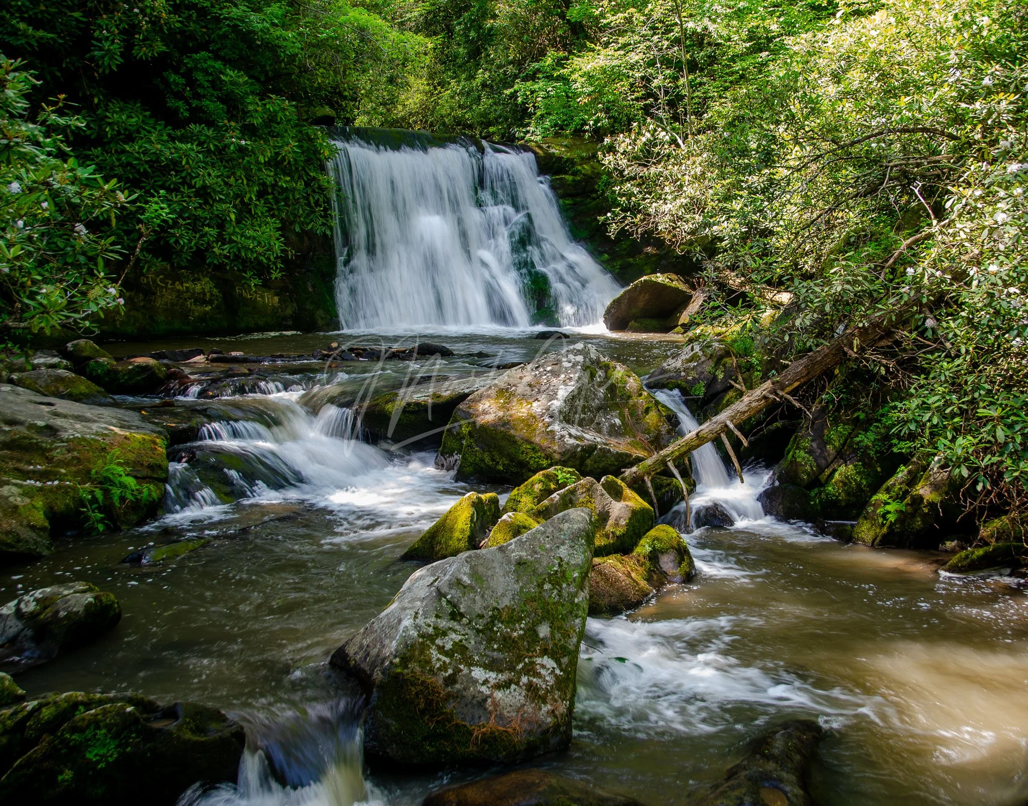 Yellow Creek Falls #1.jpg