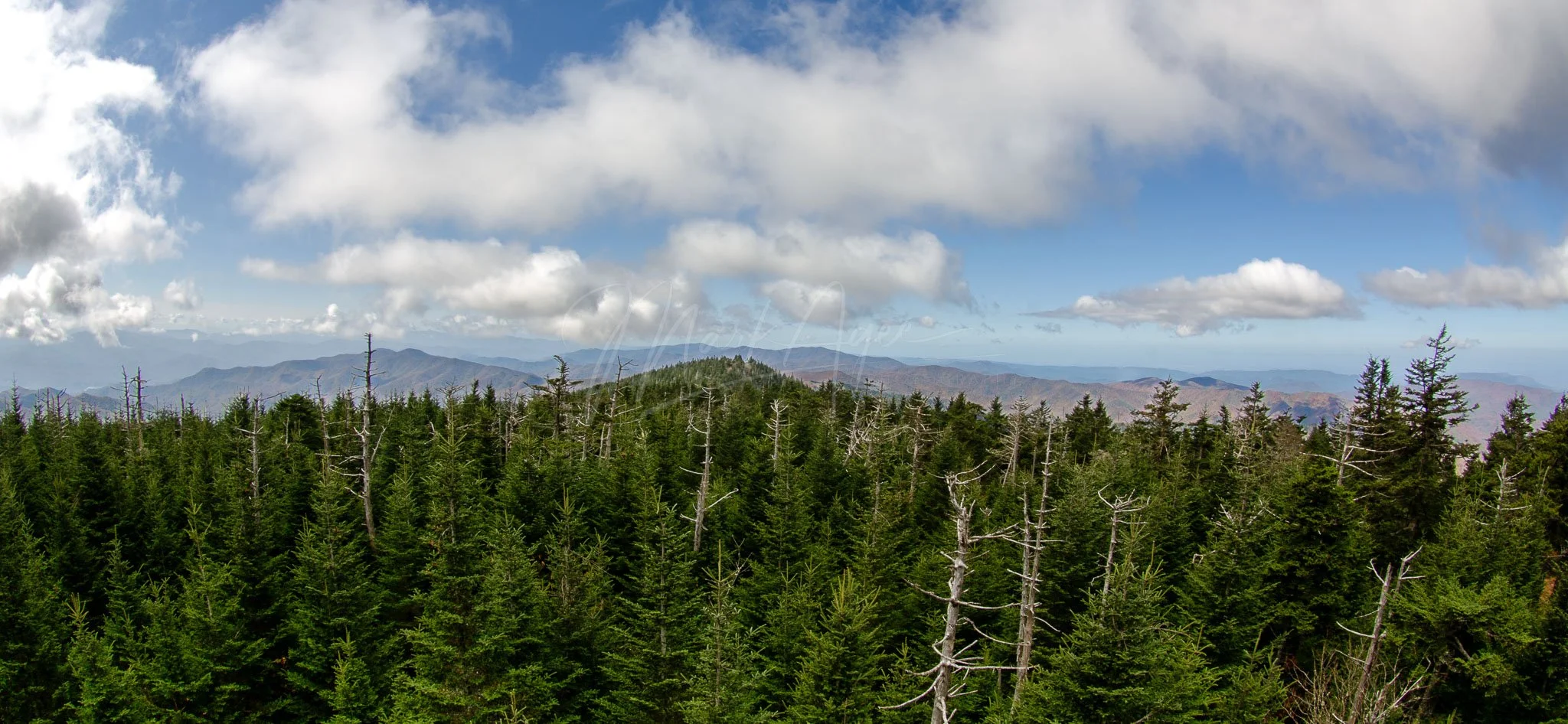 View from Kuwohi