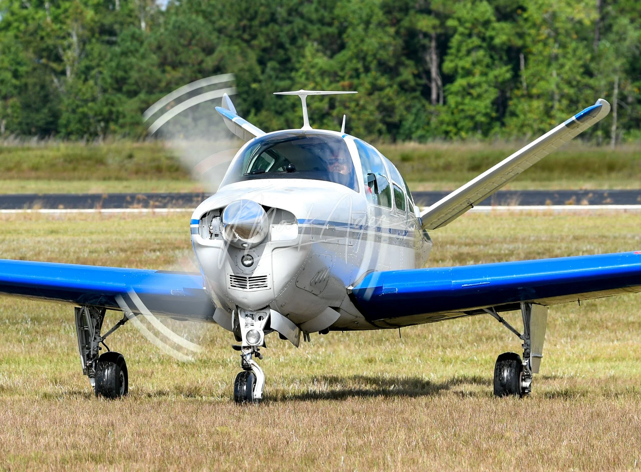 Bonanza