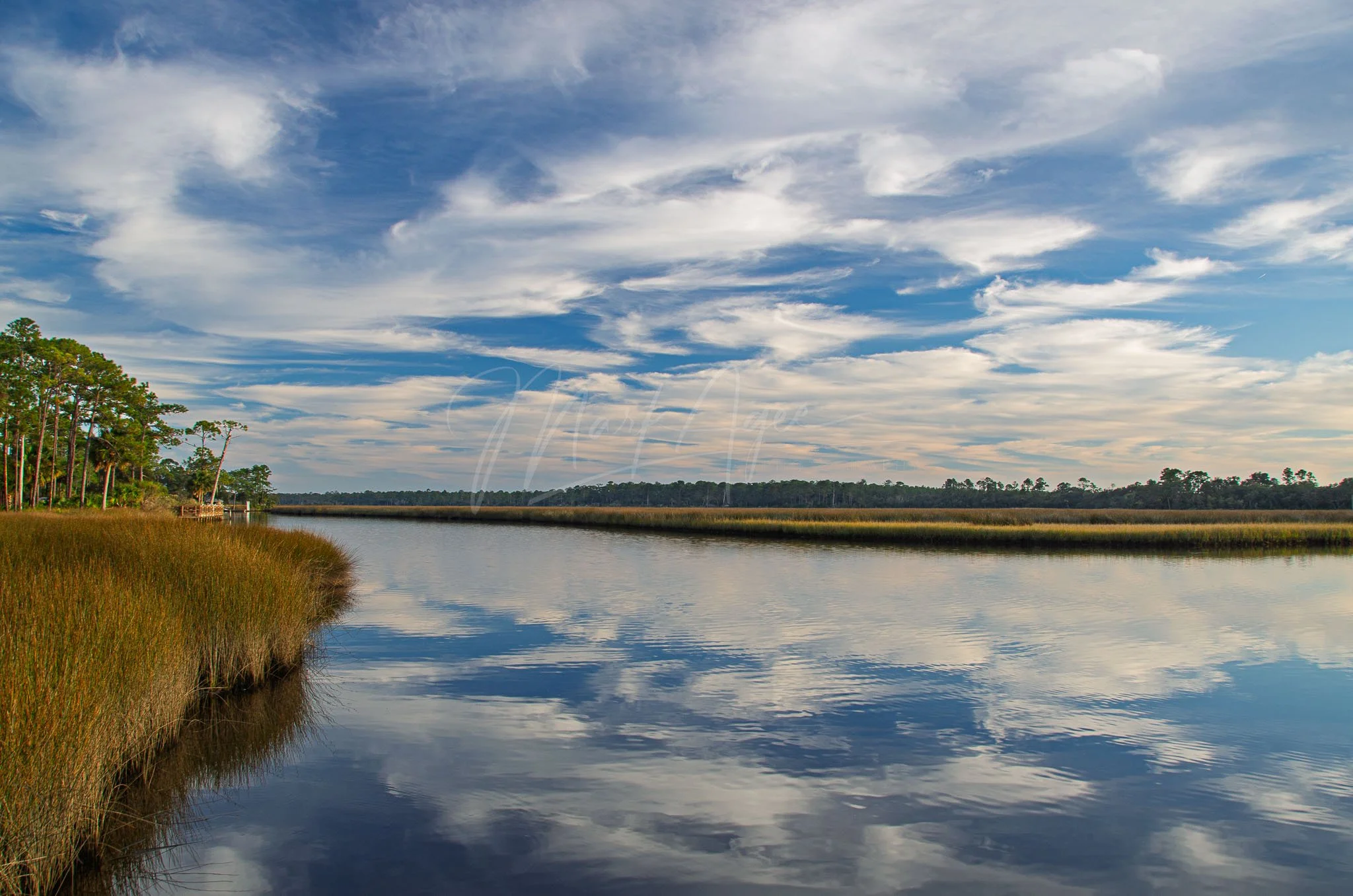 Pellicer Creek.jpg