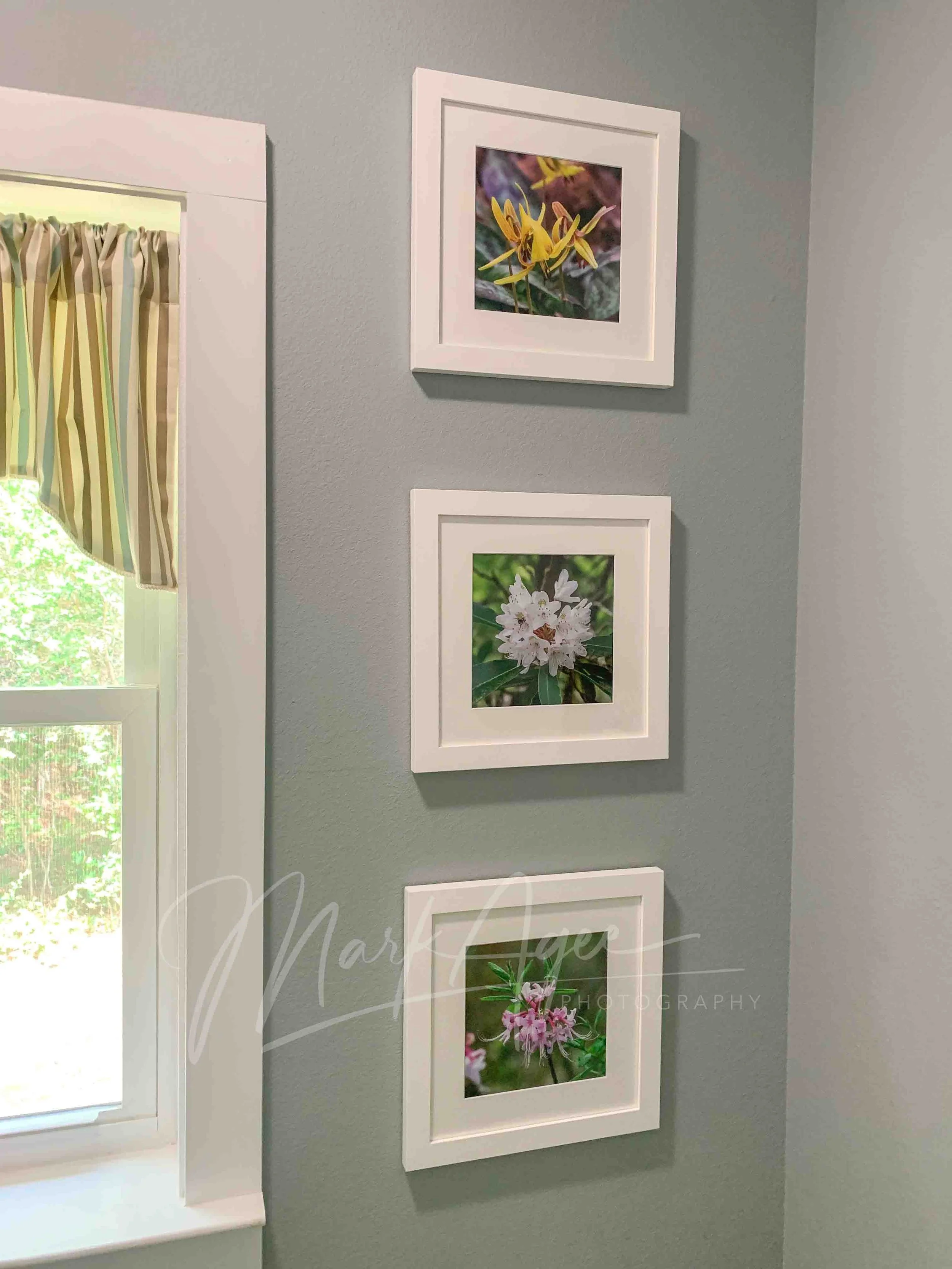 Mockup Blooms Triple.jpg