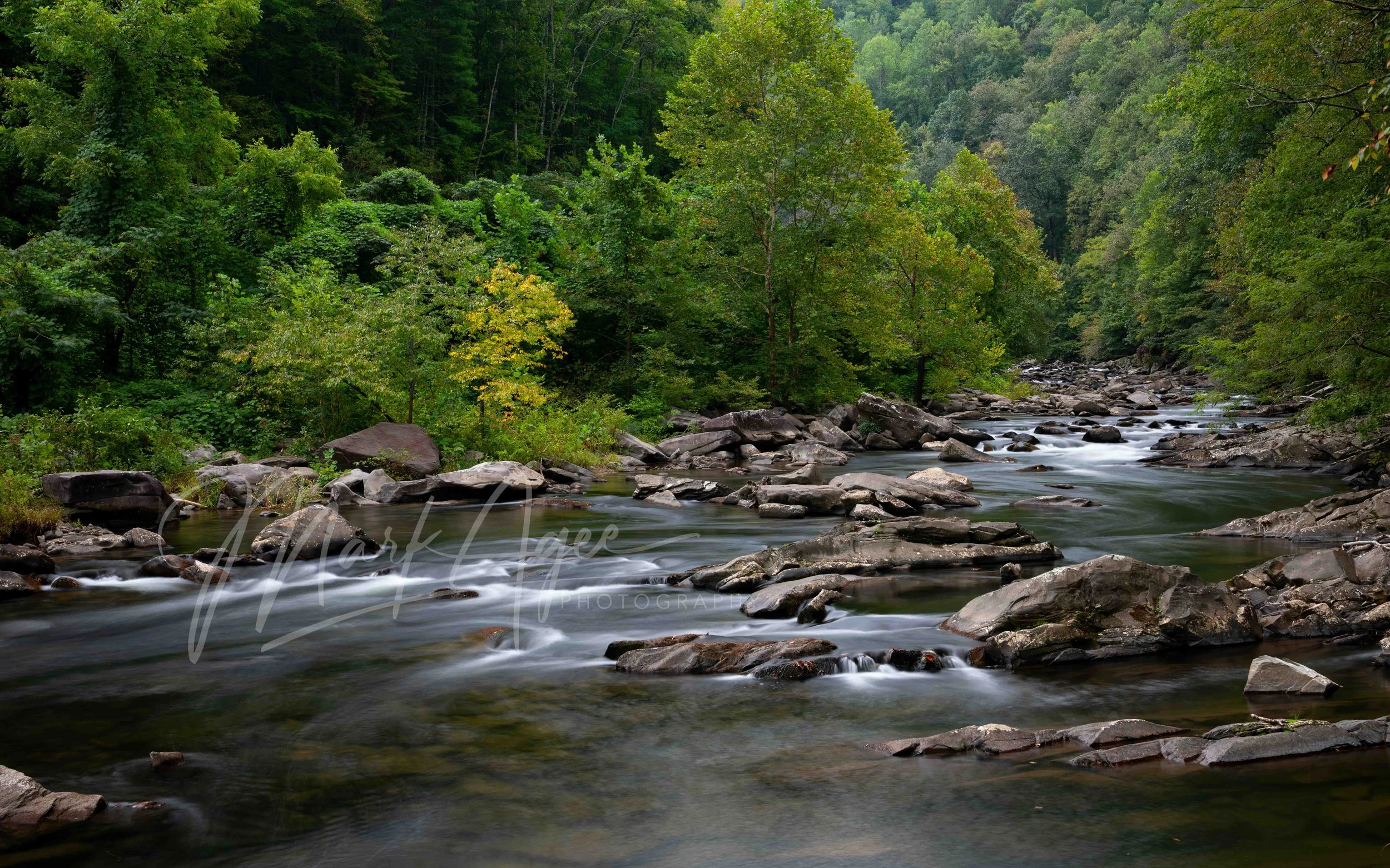 Cheoah River #1