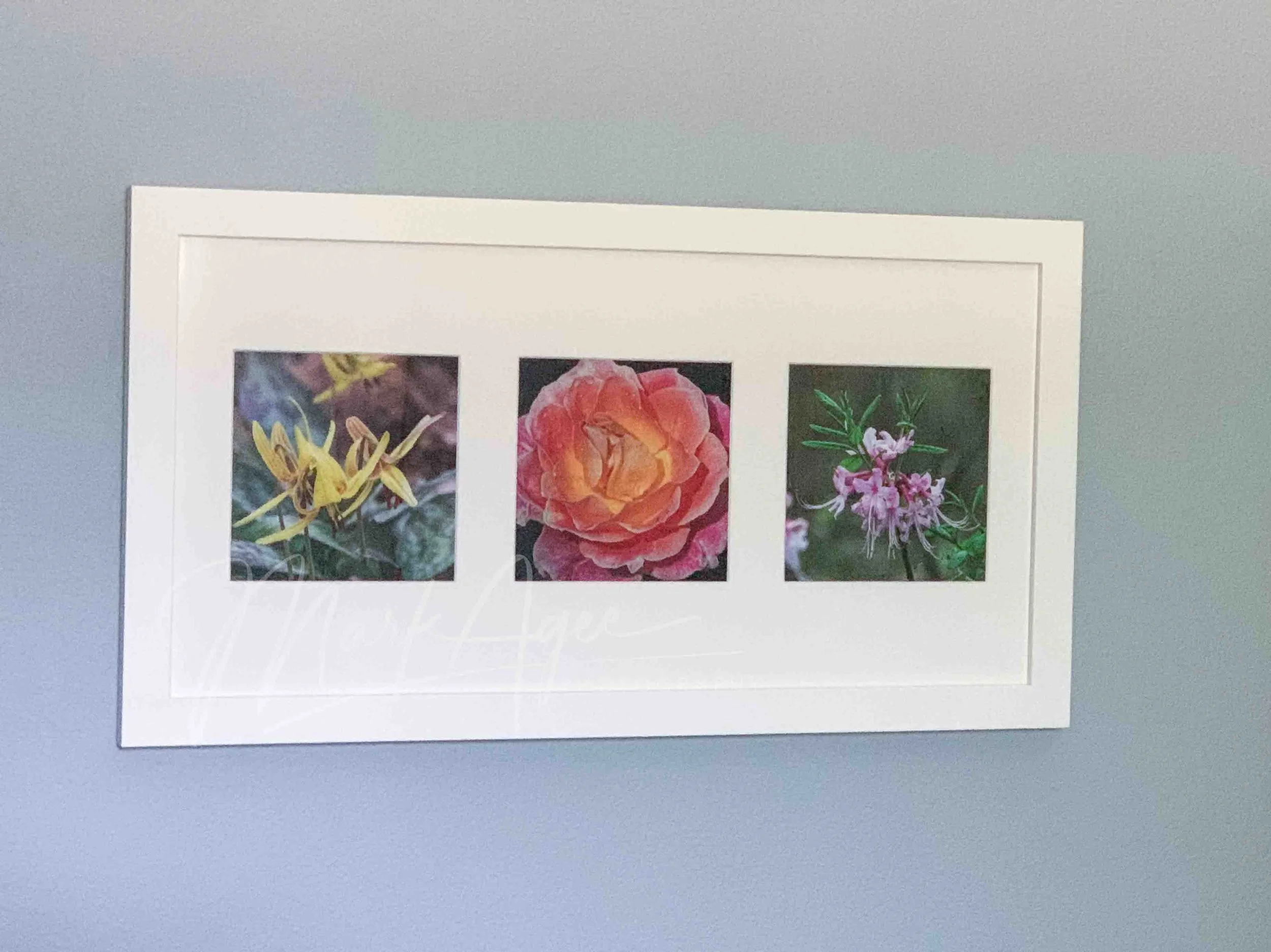 Mockup Blooms Collage Frame.jpg
