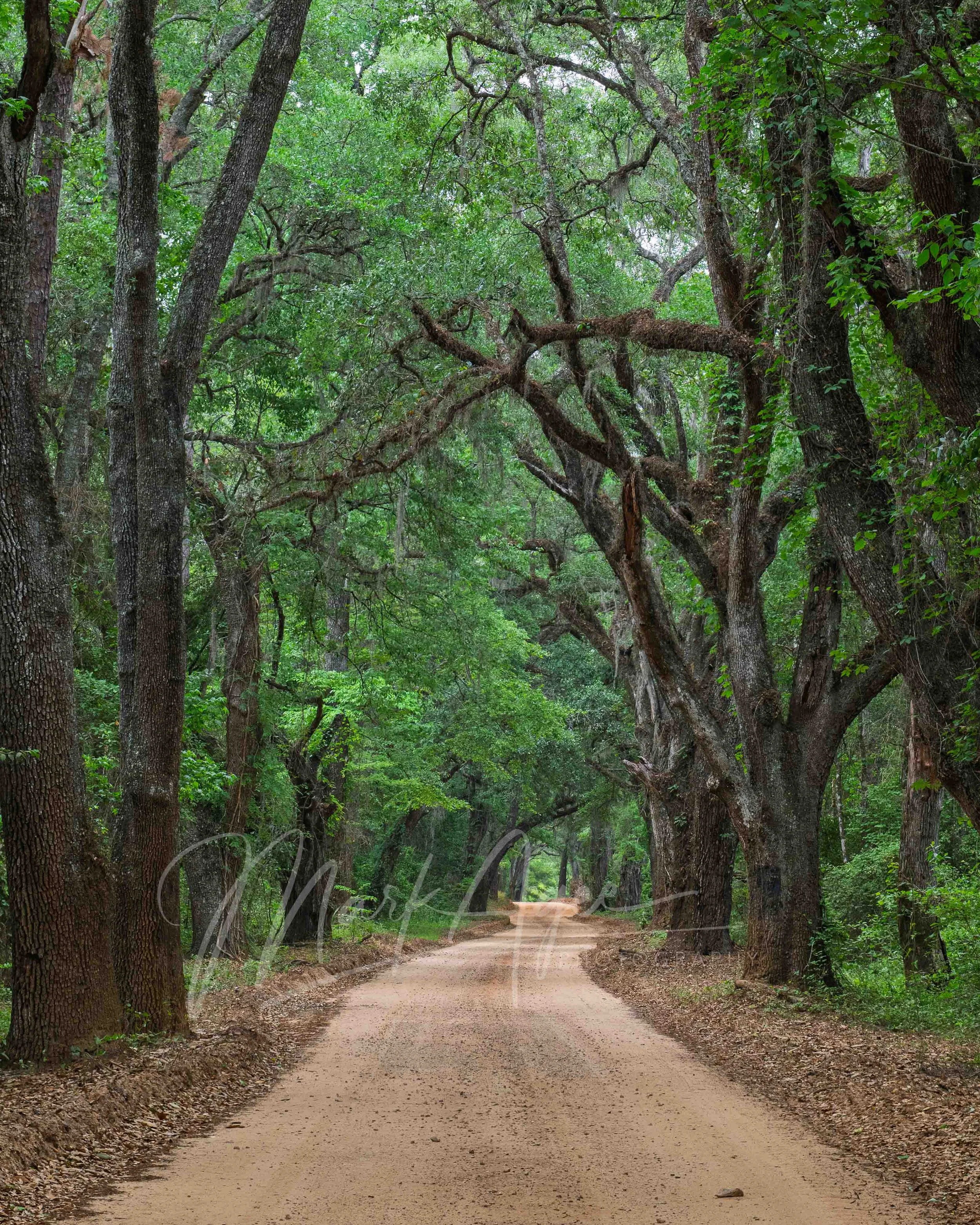 New Hope Road