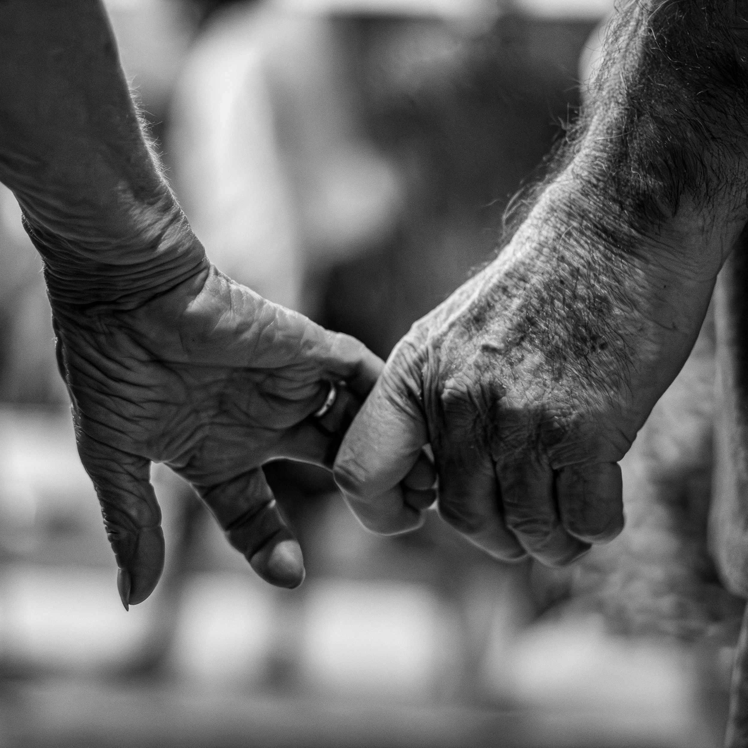 Couple reconnecting after a disagreement through calm conversation and emotional repair.