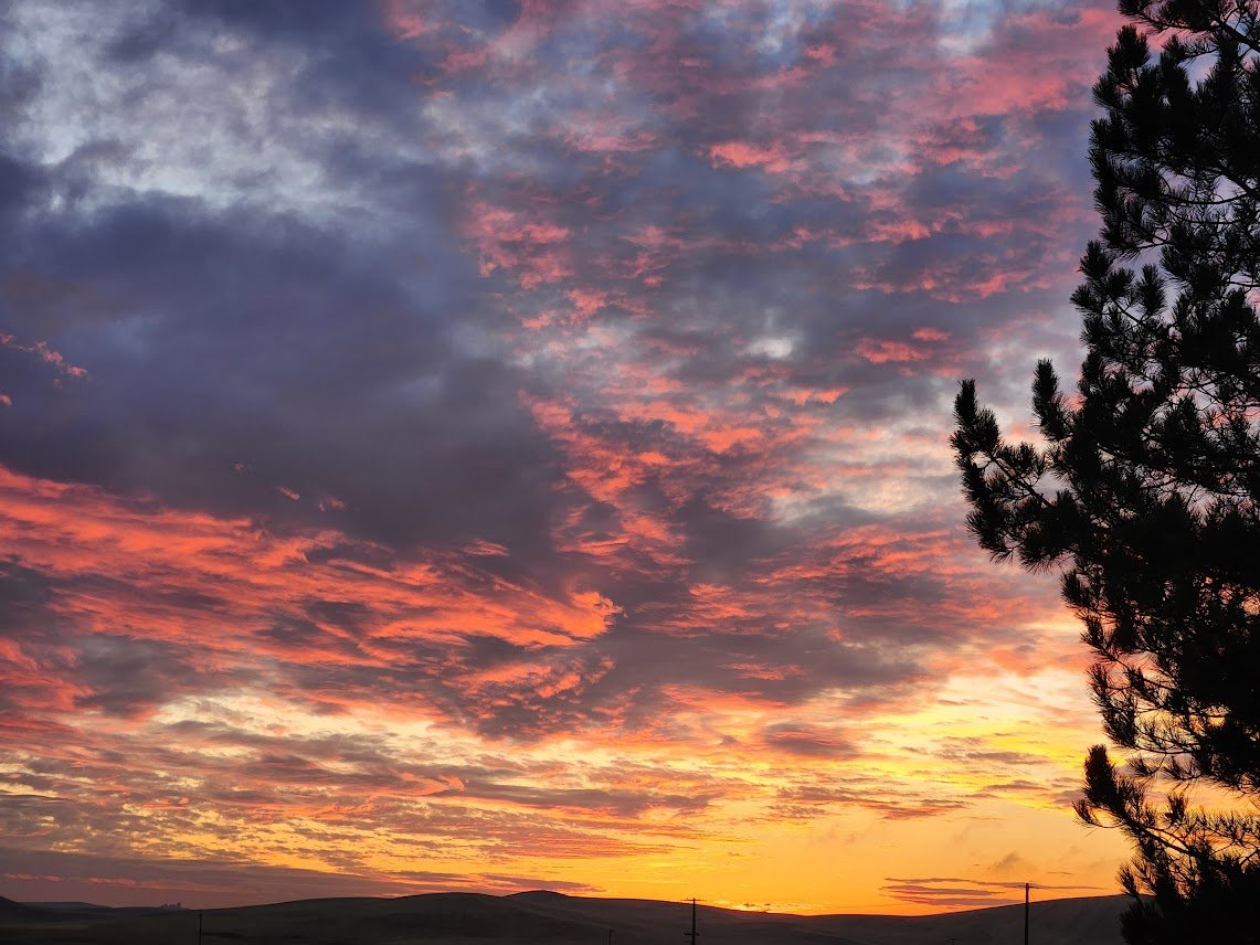 20251110_November sunset.jpg