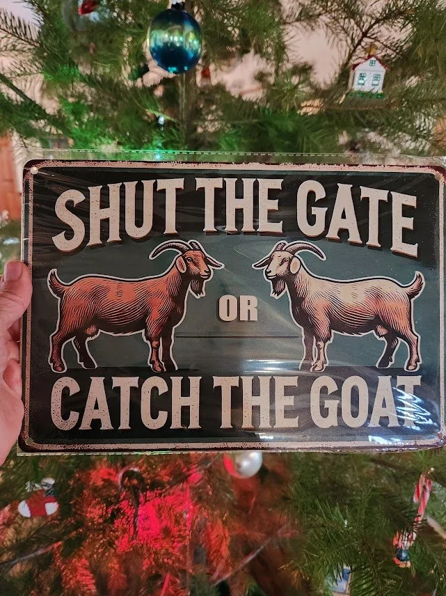 20241231_shut the gate or catch the goats.jpg