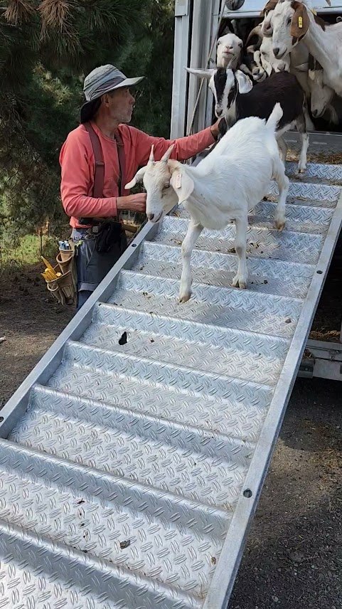 20230908_unloading trailer_very short.jpg