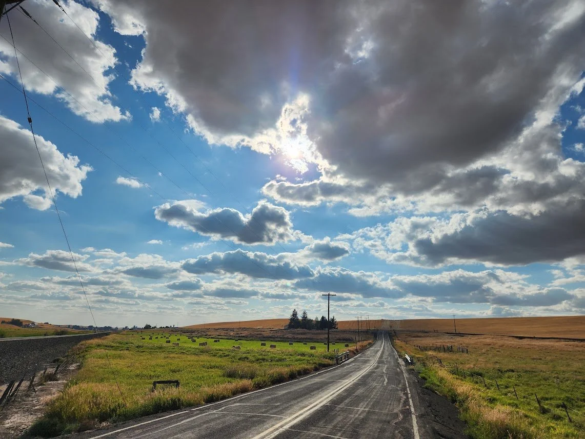 20240825_in the neighborhood.jpg