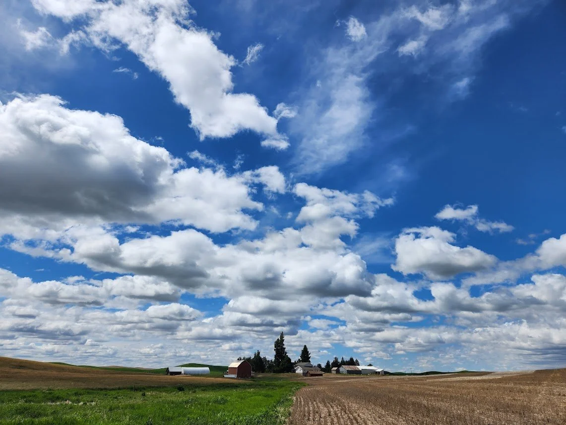 20230619_big sky over cloverdale ranch.jpg