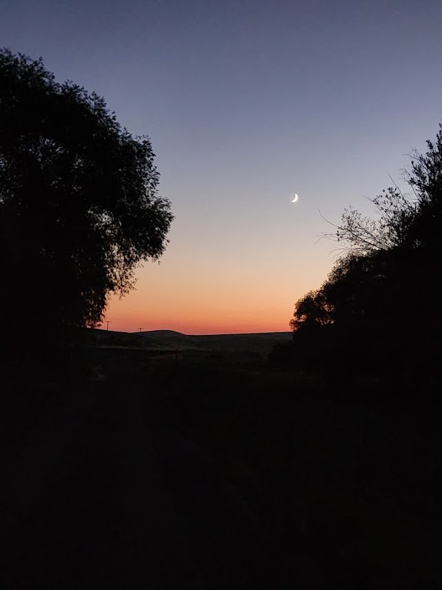 20240708_moonrise.jpg
