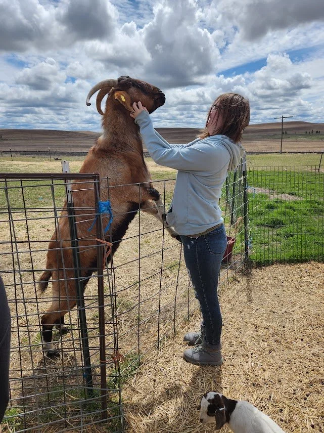 20240427_just kidding greeting.jpg