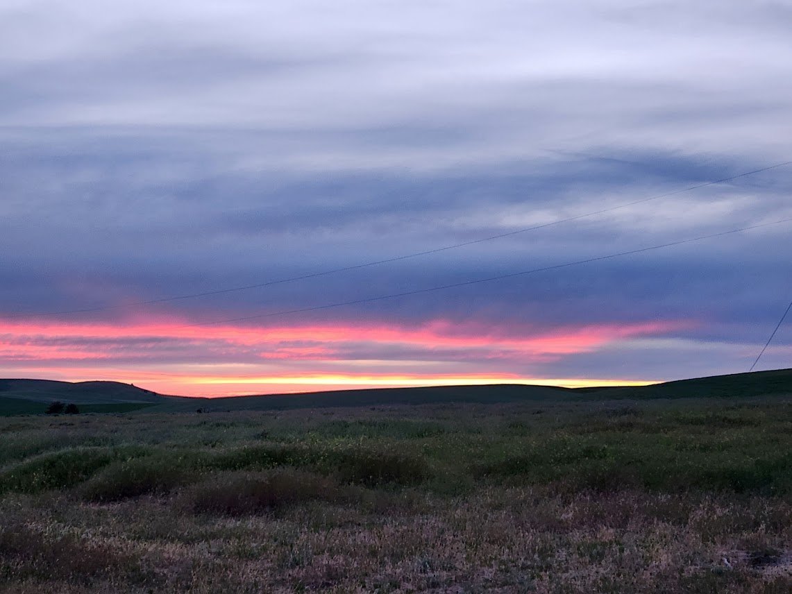 20240614_June sunset.jpg