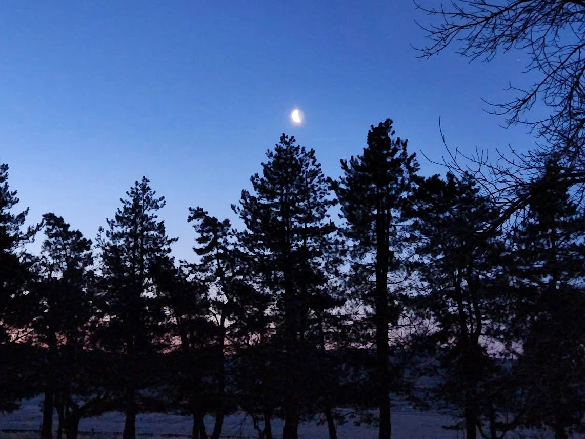 20230215_halfmoon.jpg