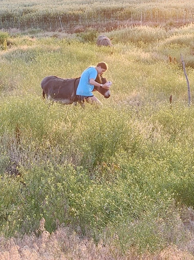 20240712_genevieve with pixie the donkey.jpg
