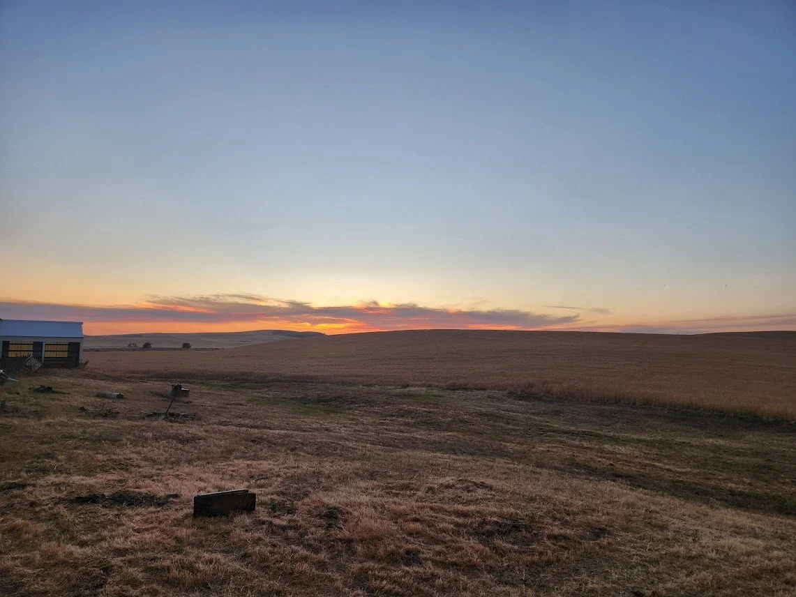 20240801_august sunset.jpg