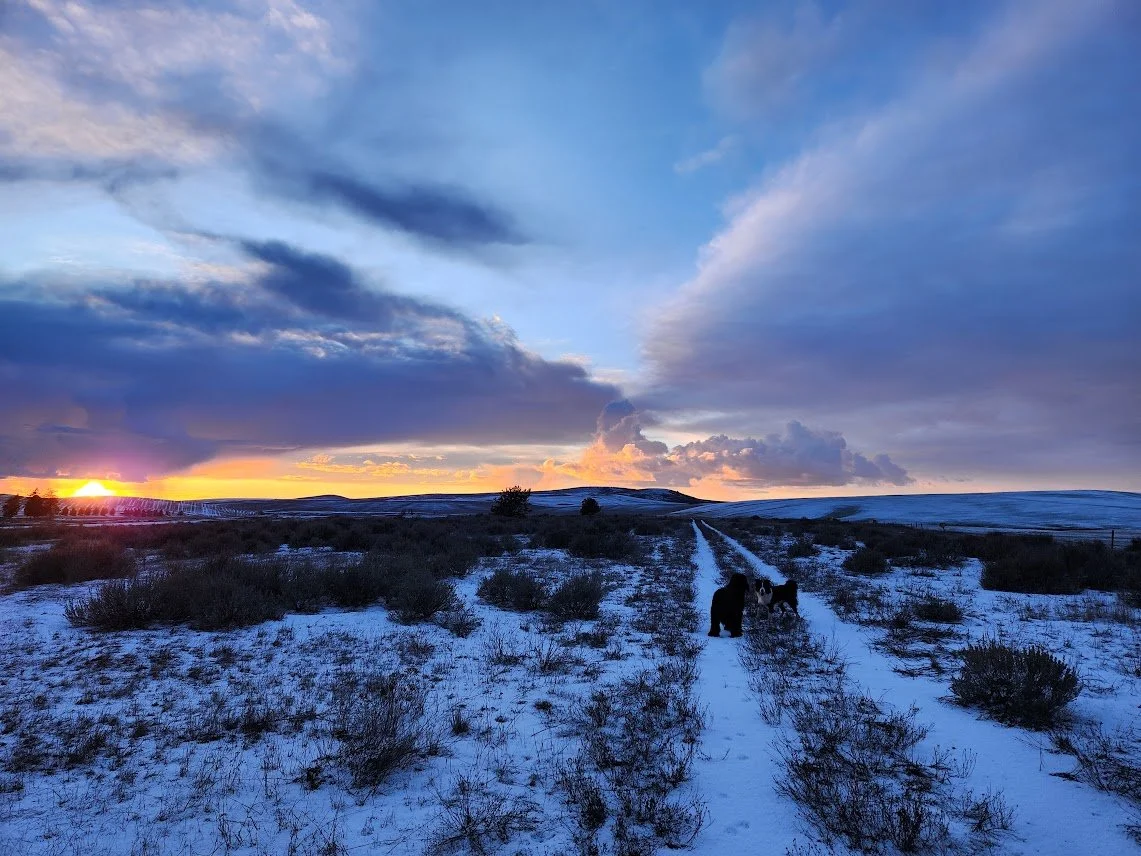 20240302_winter sunset.jpg